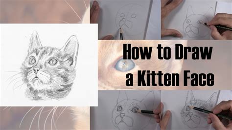 How To Draw A Kitten Face Step By Step Let S Draw Today