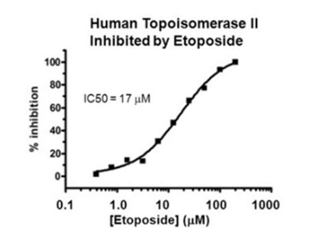 Well Human Topo Ii Dna Decatenation Assay Kits