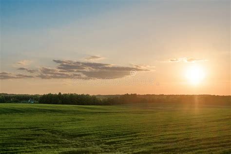 Sunset in the field stock photo. Image of beautiful - 107254392