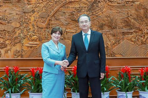 Vice Foreign Minister Deng Li Meets With Irish Ambassador To China Ann