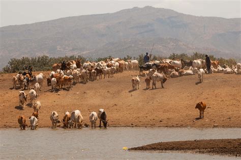 Culture | TURKANA