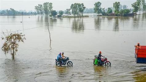 Punjab Ndrf Teams Start Rescue Operations In Flood Hit Areas Of