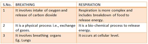 Write Three Differences Between Breathing And Respiration [3 Marks]