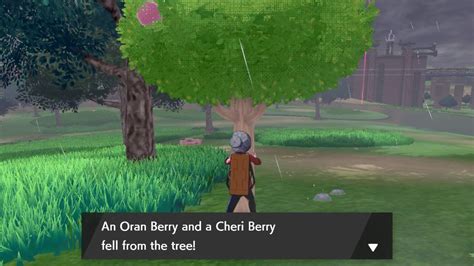 Pokémon Sword and Shield: Every Berry and where to find them | iMore