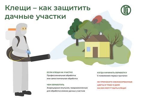 Клещи – как защитить дачные участки?