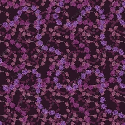 Histones, conceptual illustration - Stock Image - C059/7012 - Science ... 