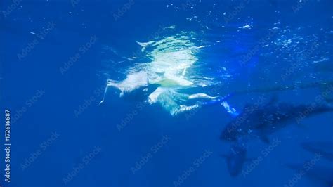 Romantic Couple Scuba Diving And Snorkeling On Vacation Under Water