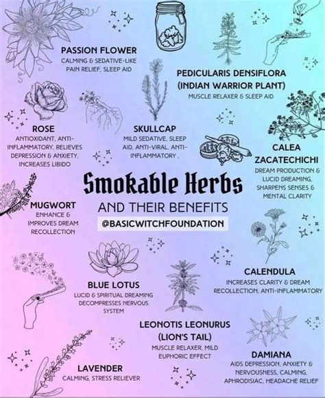Pin By Marisa Wolf On Witch Craft Stuff Magic Herbs Herbs Energy