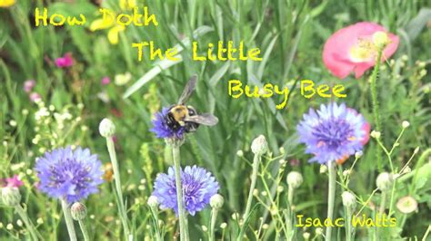 How Doth The Little Busy Bee A Poem By Isaac Watts Youtube