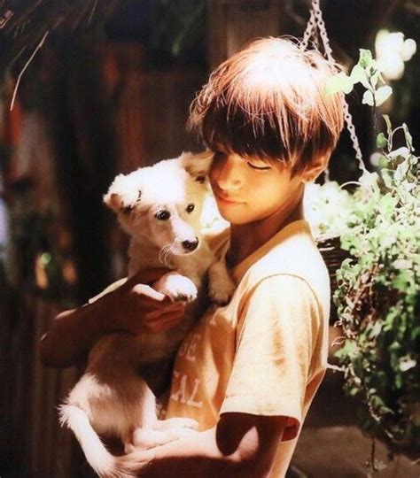 BTS with animals | ARMY's Amino