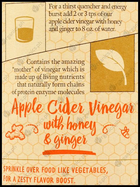 De Nigris Organic Apple Cider Vinegar Honey And Ginger 500ml Organics Ph