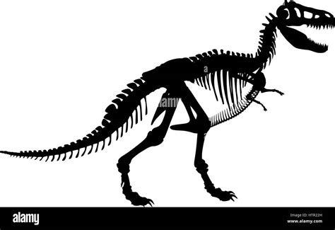 Vector Silhouette Illustration Of A Tyrannosaurus Rex Skeleton Stock