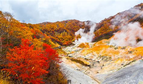 Best Fall Foliage Spots In Hokkaido Fromjapan