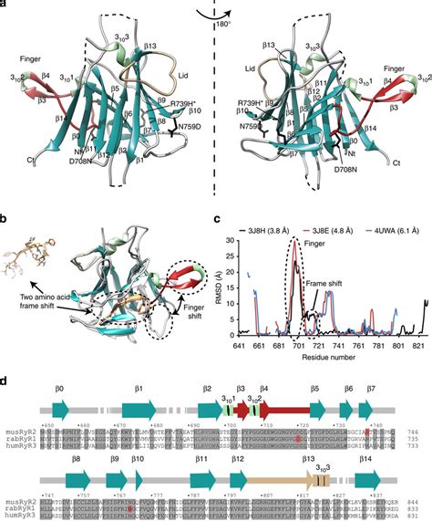 Crystal Structure Of The Spry Domain A Two Different Views Of The