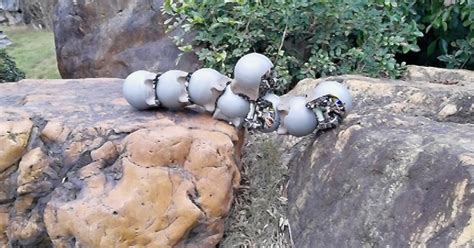Video Iron Shelled Robo Snails Swarm Together For Off Road Tasks