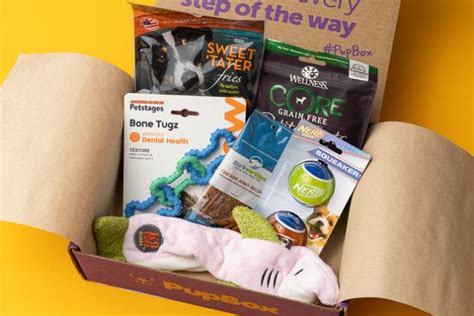 The Best Pet Subscription Boxes for 2021 | Reviews by Wirecutter