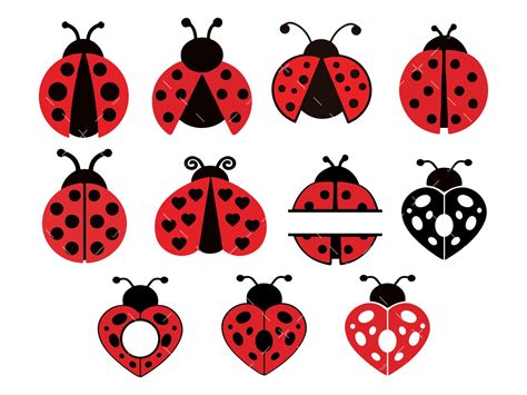 Ladybug Svg Png Pdf Ladybug Bundle Svg Ladybug Svg Layered