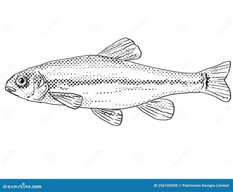 minnows cartoons illustrations vector stock images  pictures