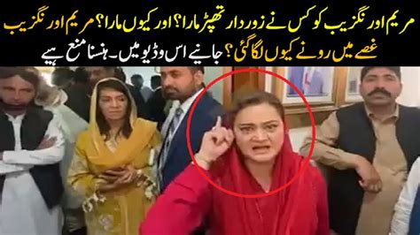 Funny And Entertaining Information About Maryam Aurangzeb Youtube