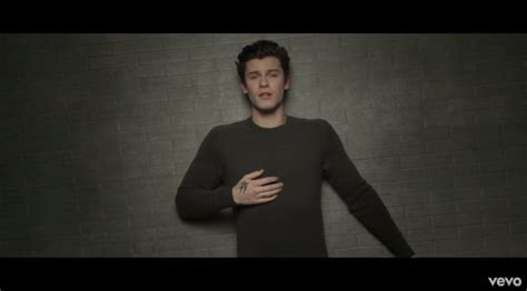 Watch Shawn Mendes Drops In My Blood Video