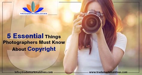 5 Essential Things Photographers Must Know About Copyright In 2020 Photographer How To Take