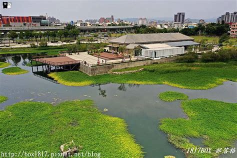 【台中。東區】帝國糖廠湖濱公園。星泉湖。雙心水草。私房景點 1817box部落格