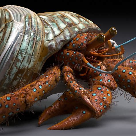 Artstation Hermit Crab