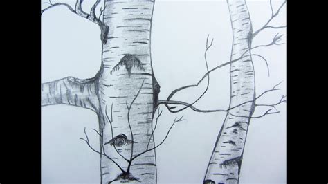 Pencil Drawing Birch Tree Youtube