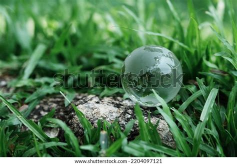 Net Zero Carbon Neutral Concepts Net库存照片2204097121 Shutterstock