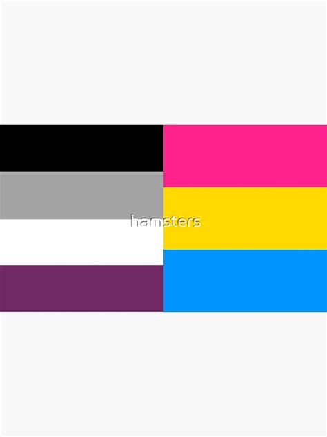 "Panromantic Asexual Flag" Art Print for Sale by hamsters | Redbubble