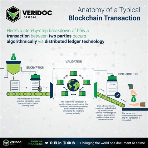 Veridoc Global Infographic Anatomy Of A Typical Blockchain