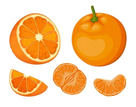 Conjunto De Vector De Fruta Naranja Vector Premium