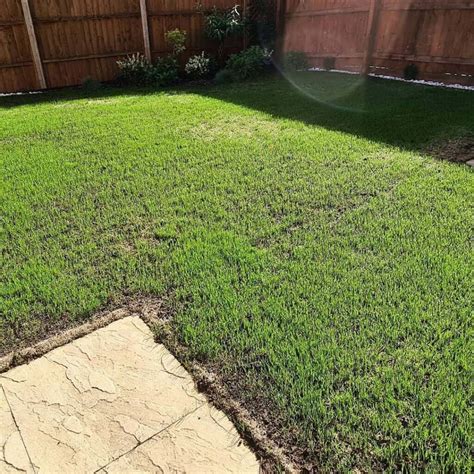 When To Seed A Lawn Best Time To Sow Grass Seeds In Uk