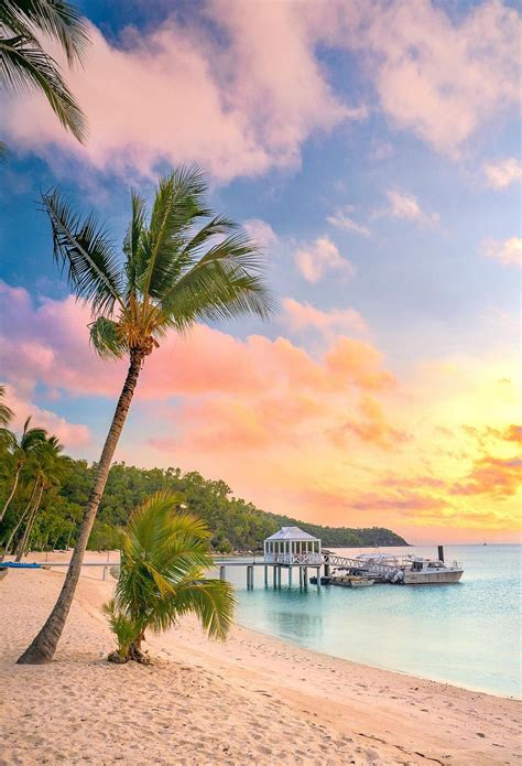 Jupiter Beach Resot Sunrise Coconut Tree At Beach Artofit