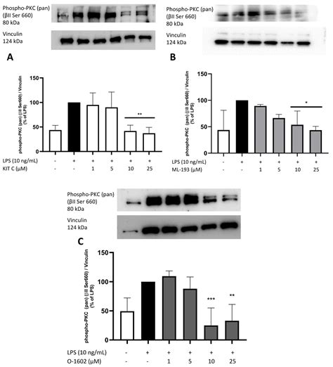 Anti Inflammatory Effects Of GPR55 Agonists And Antagonists In LPS