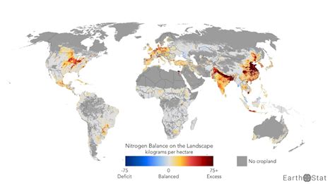 Nitrogen balance on the landscape - Vivid Maps