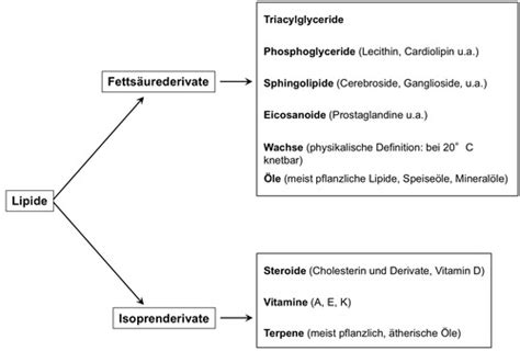 Lipide Flashcards Quizlet