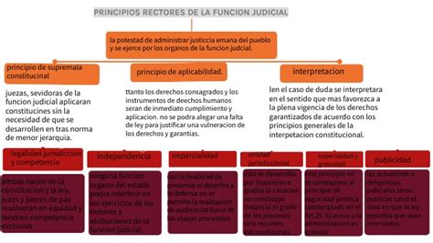 Principios Rectores