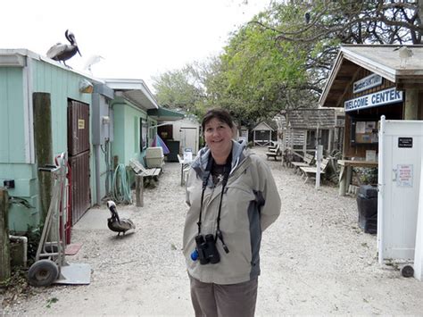 Suncoast Seabird Sanctuary Amy Evenstad Flickr