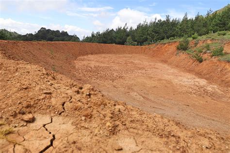 Desazolvan Bordo en la Sierra a Petición de Productores LA OPINIÓN DE