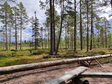 Lauhanvuoren Kansallispuisto Aumakivi Ja Kivijata Isojoki