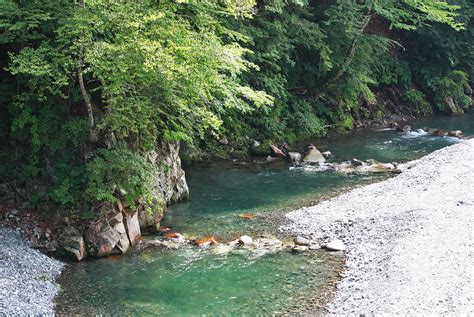 奥秩父で釣りとバーベキューが楽しめる「中津川渓流釣場」 Panda Chronicle