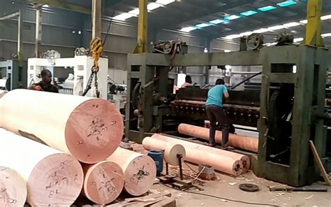 Gabon Veneer Manufacturer Okoume Face Veneer