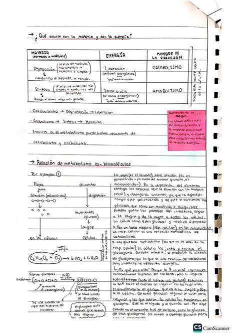 Solution Biolog A Metabolismo Celular Studypool