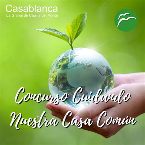 Concurso Cuidando Nuestra Casa Común Casablanca 2022 Laudato Si Week