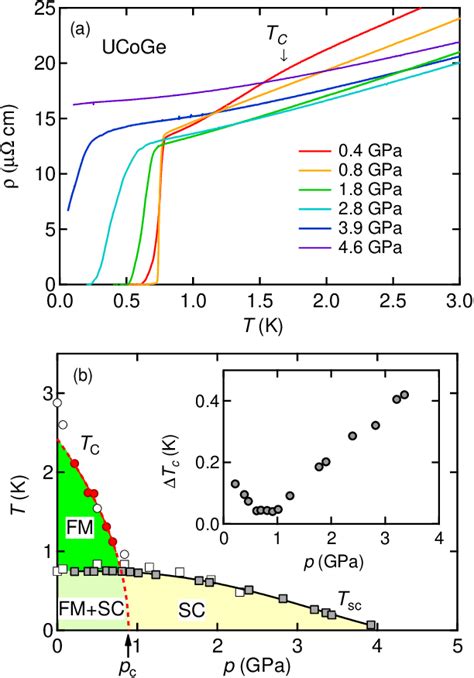 Figure From Quantum Criticality In The Ferromagnetic Superconductor