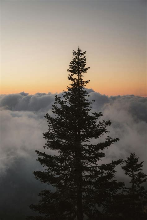 background wallpaper      background