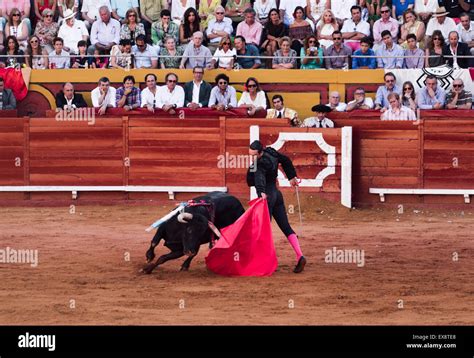 Bull Fight Ring Hi Res Stock Photography And Images Alamy