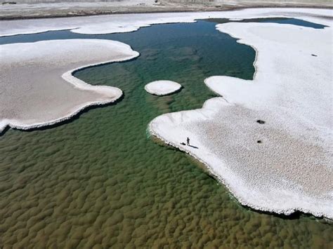 Amazing Ecosystem Discovered In Earth S Driest Desert Holds Clues To