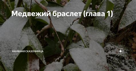Медвежий браслет (глава 1) | Наивная сказочница | Дзен